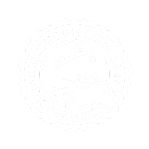 logo logo-rainforest