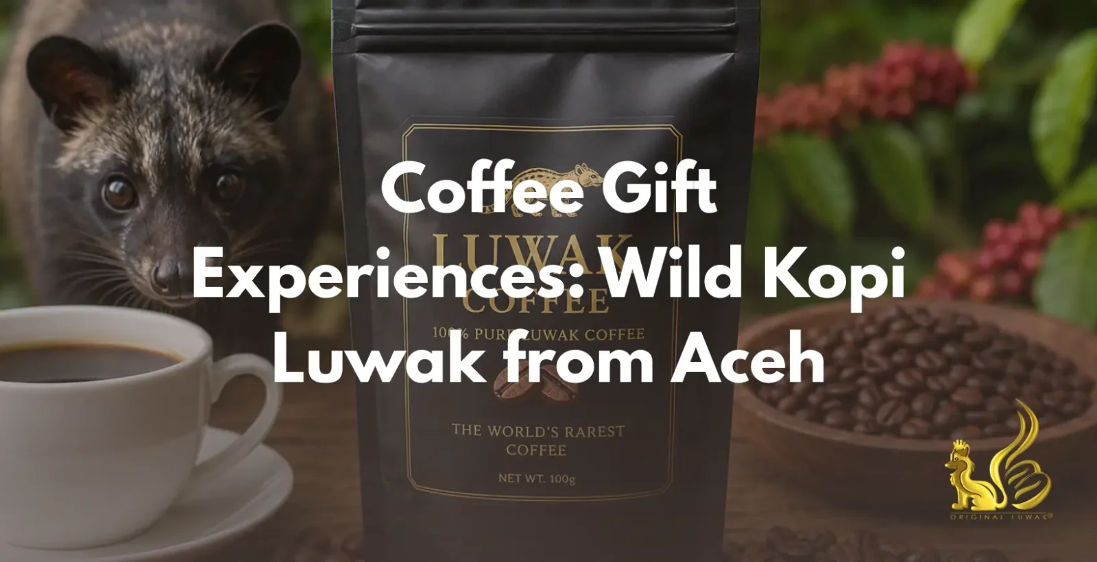 coffee gift experiences