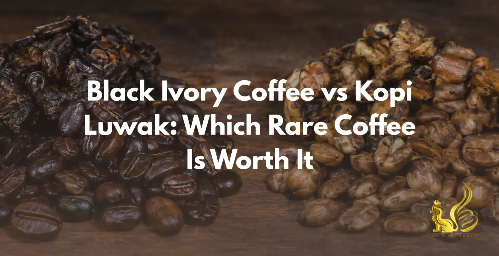 black ivory coffee