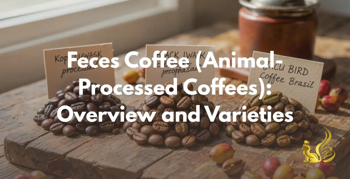 Feces Coffee (Animal-Processed Coffees)